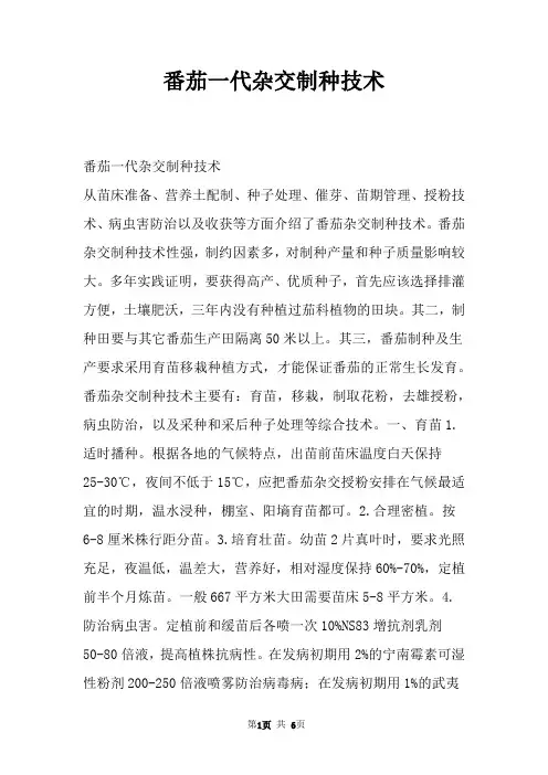 番茄一代杂交制种技术