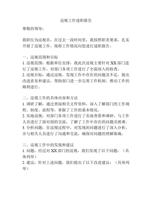 巡视工作述职报告