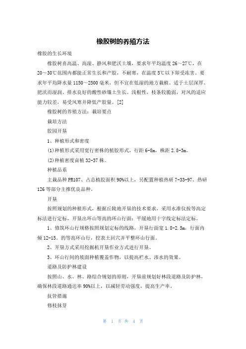 橡胶树的养殖方法