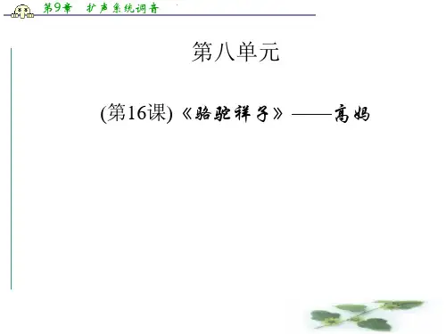 高中语文(人教选修 中国小说欣赏)课件：第16课《骆驼祥子》——高妈