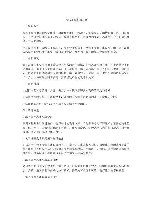 特殊工程专项方案