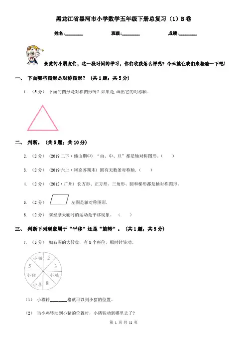 黑龙江省黑河市小学数学五年级下册总复习(1)B卷