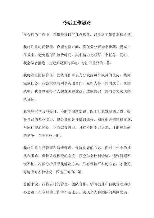 今后工作思路