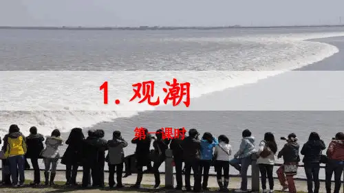 部编人教版四年级上册语文《1 观潮》PPT课件