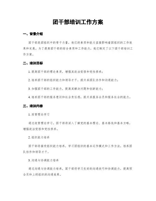 团干部培训工作方案