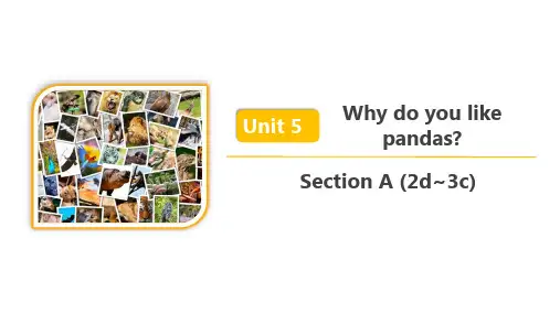 人教七年级英语下册 Unit 5 Section A(2d~3c) 精品课件
