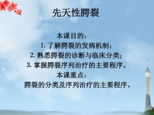 先天性腭裂 PPT课件