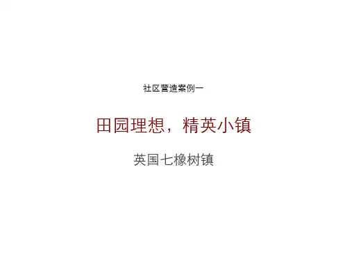 国际社区营造案例1