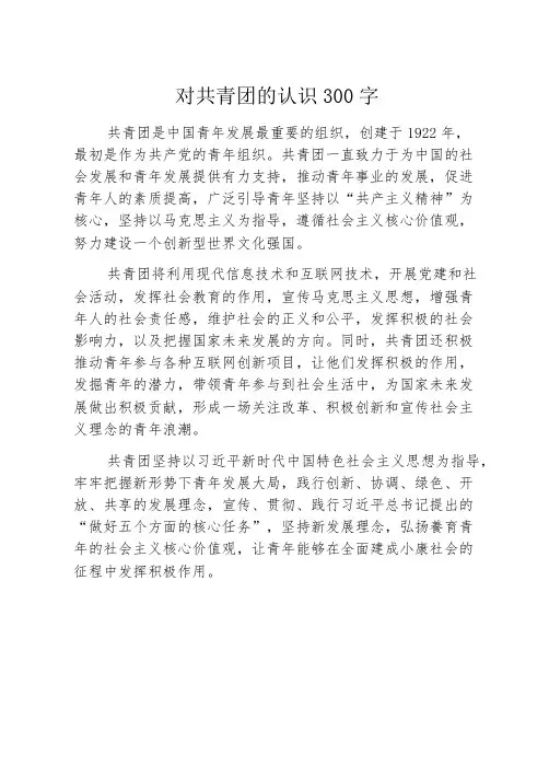 对共青团的认识300字
