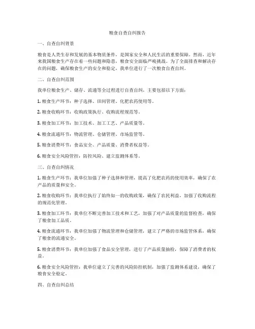粮食自查自纠报告