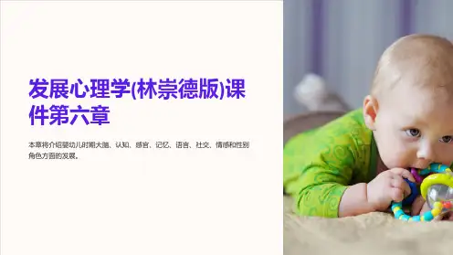 发展心理学(林崇德版)课件第六章
