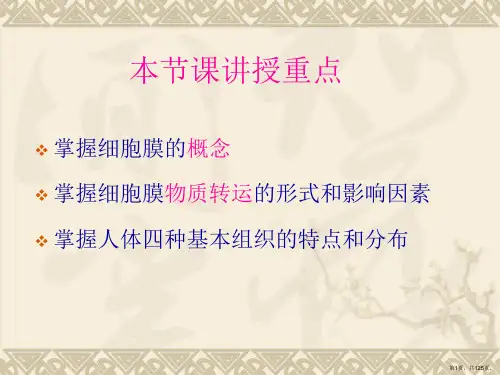 第二章 人体的基本生理功能-细胞和四大组织