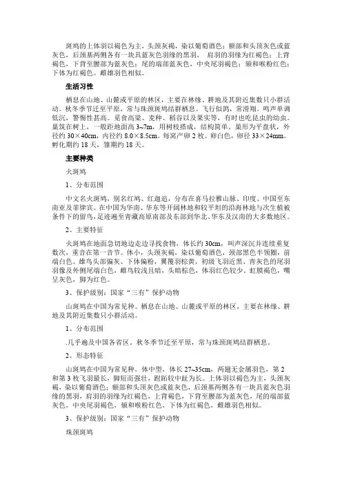斑鸠的资料