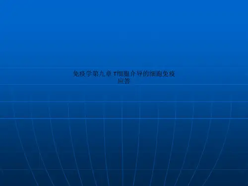 免疫学第九章 T细胞介导的细胞免疫应答