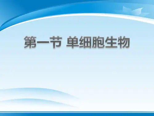 《单细胞生物》PPT课件