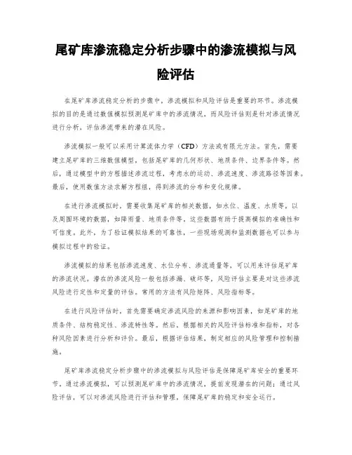 尾矿库渗流稳定分析步骤中的渗流模拟与风险评估