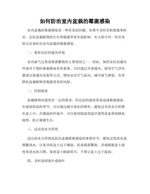 如何防治室内盆栽的霉菌感染