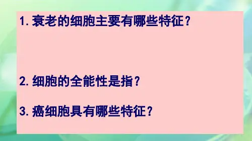 高中生物细胞的生命历程复习课优秀课件