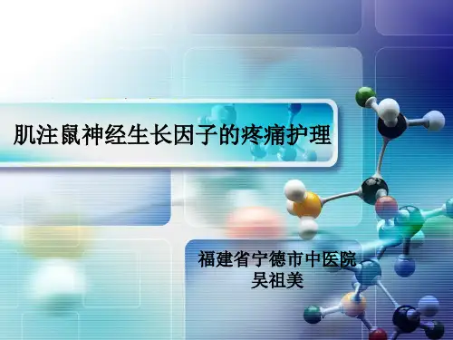 鼠神经生长因子肌注