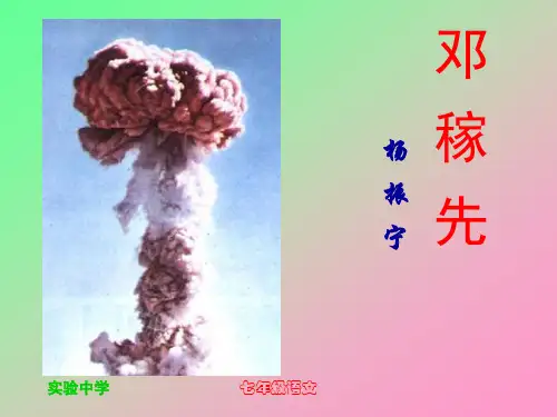 邓稼先杨振宁人物传记