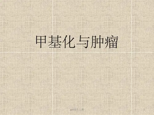 甲基化与肿瘤ppt课件
