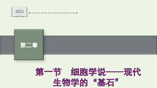 新教材高中生物第二章第一节细胞学说__现代生物学的“基石”课件苏教版必修1ppt