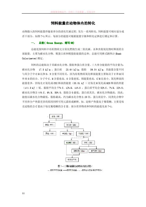 饲料能量在动物体内的转化