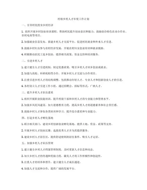 村级乡村人才年度工作计划