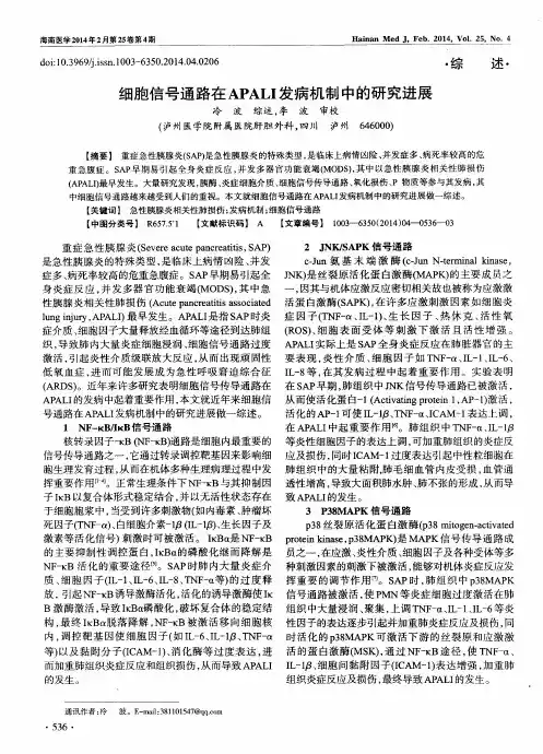 细胞信号通路在APALI发病机制中的研究进展