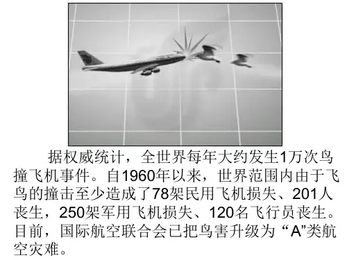 九年级科学为什么飞鸟能撞坏飞机(PPT)5-1