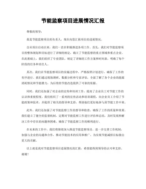 节能监察项目进展情况汇报