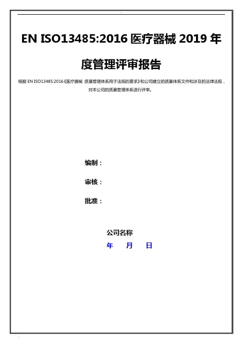 医疗器械2019年度管理评审报告全套资料