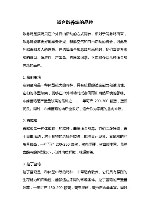 适合散养鸡的品种