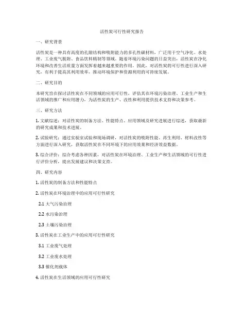 活性炭可行性研究报告