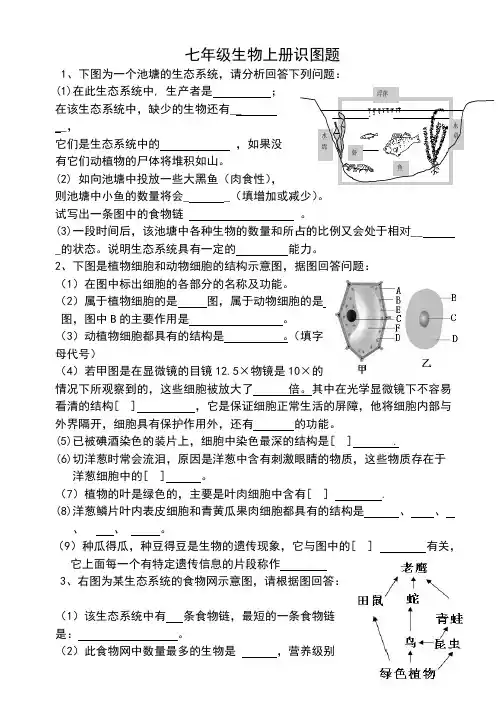 人教版七年级生物上册识图题集锦