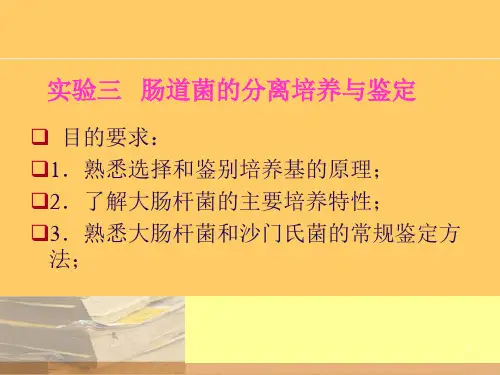 肠道菌的分离培养与鉴定PPT课件