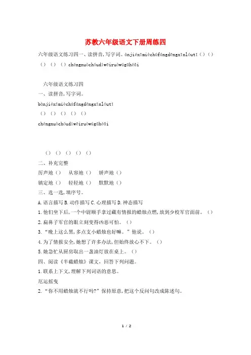 苏教六年级语文下册周练四