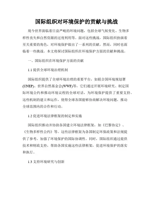 国际组织对环境保护的贡献与挑战
