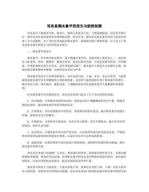 祁东县稻水象甲的发生与防控初报