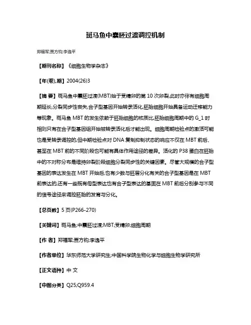 斑马鱼中囊胚过渡调控机制