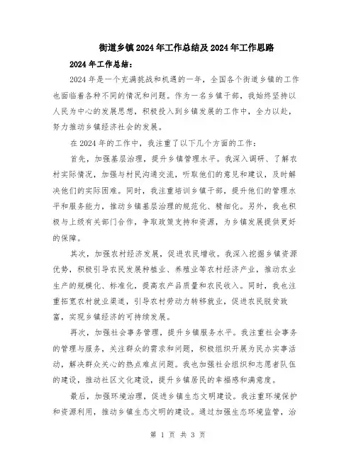 街道乡镇2024年工作总结及2024年工作思路