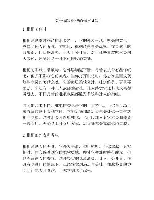 关于描写枇杷的作文4篇