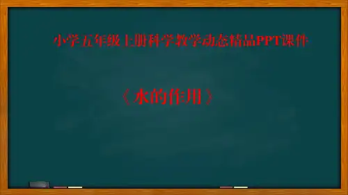 小学五年级上册科学《水的作用》PPT课件精选