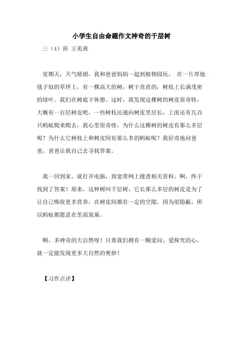 小学生自由命题作文神奇的千层树