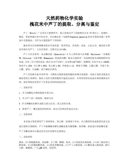 槐花米中芦丁