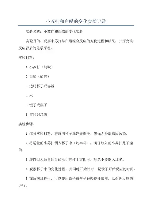 小苏打和白醋的变化实验记录