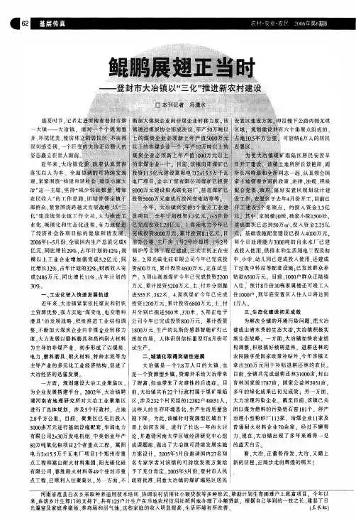 鲲鹏展翅正当时——登封市大冶镇以三化推进新农村建设