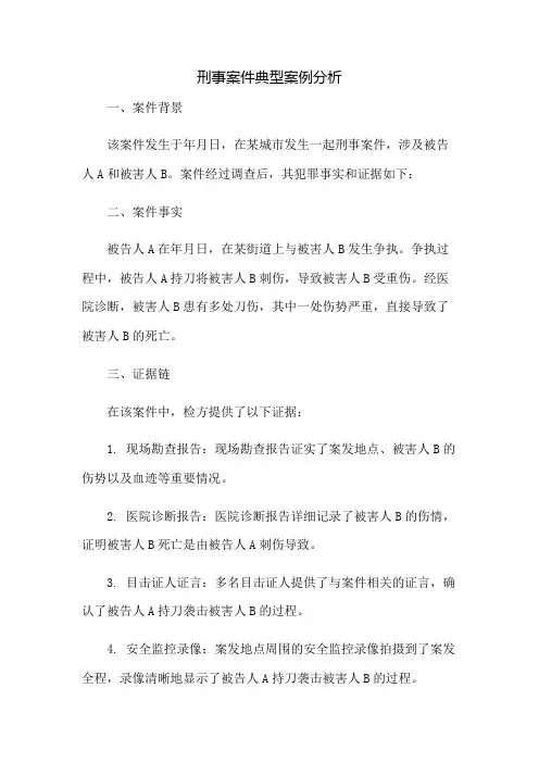 刑事案件典型案例分析
