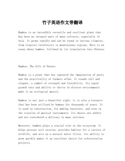 竹子英语作文带翻译