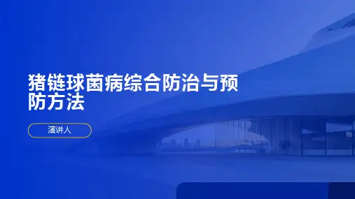 猪链球菌病综合防治与预防方法